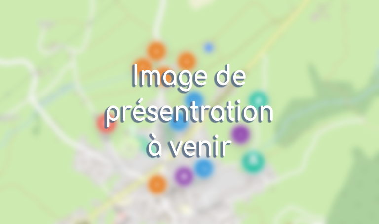 Aperçu carte Local App